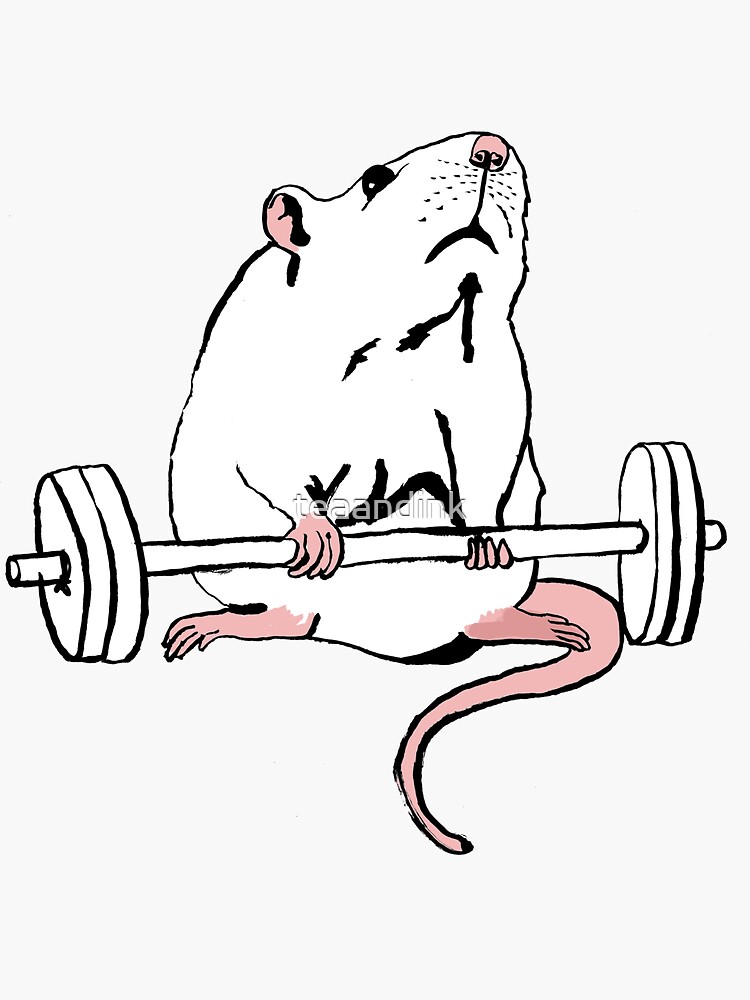 Deadlift Rat Sticker for Sale by teaandink