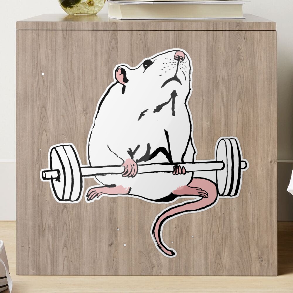 Deadlift Rat Sticker for Sale by teaandink