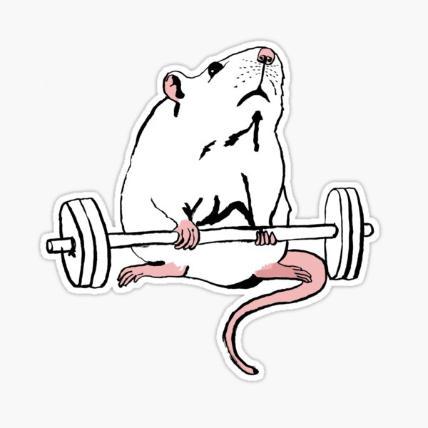 Deadlift Rat Sticker for Sale by teaandink