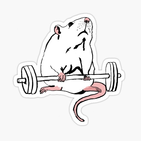Deadlift Rat Sticker for Sale by teaandink