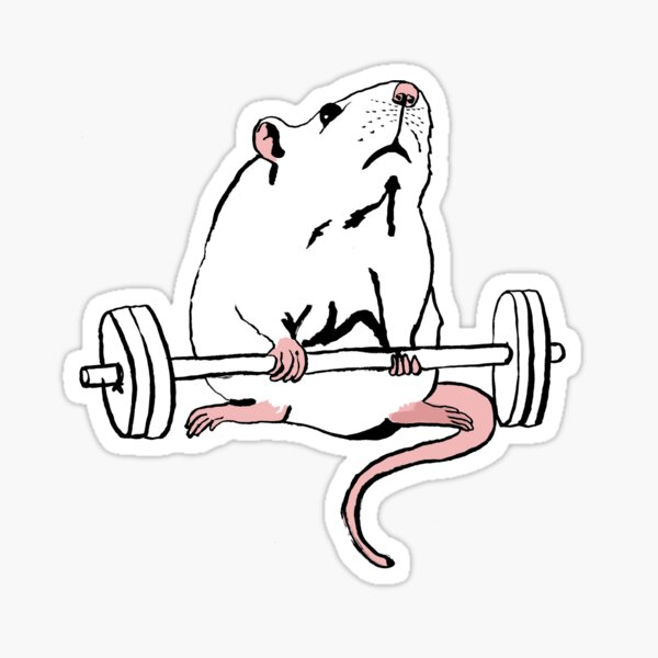 Gym Rat Sticker for Sale by American Artist