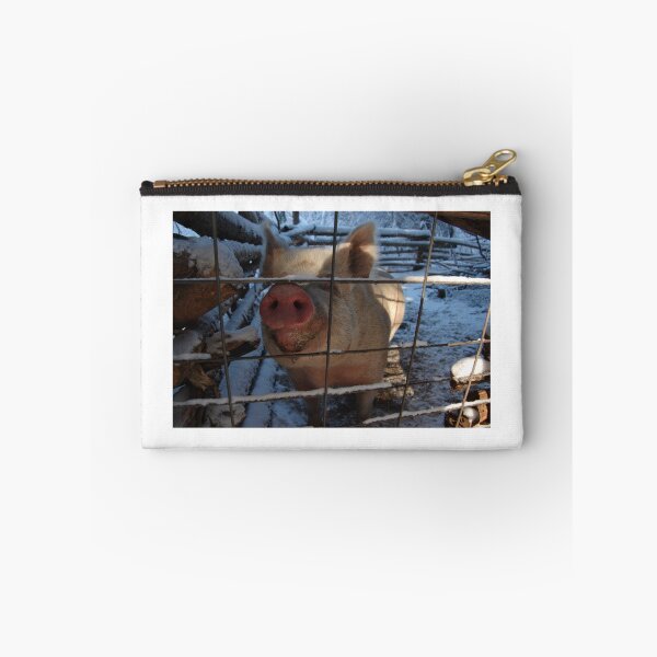 Aperçu de l'œuvre Hungry piggy créée et vendue par Amanda Huggins.