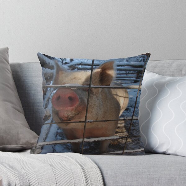 Aperçu de l'œuvre Hungry piggy créée et vendue par Amanda Huggins.