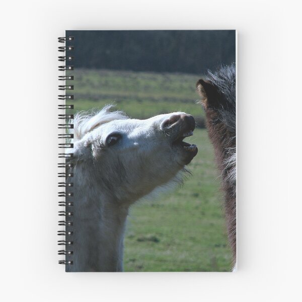 Item preview, Have you heard they now do matted prints on Red Bubble!!!!! designed and sold by Sharon Perrett.