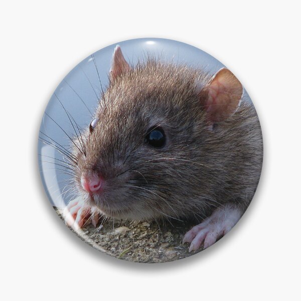 Item preview, Ratty!!!! designed and sold by Sharon Perrett.
