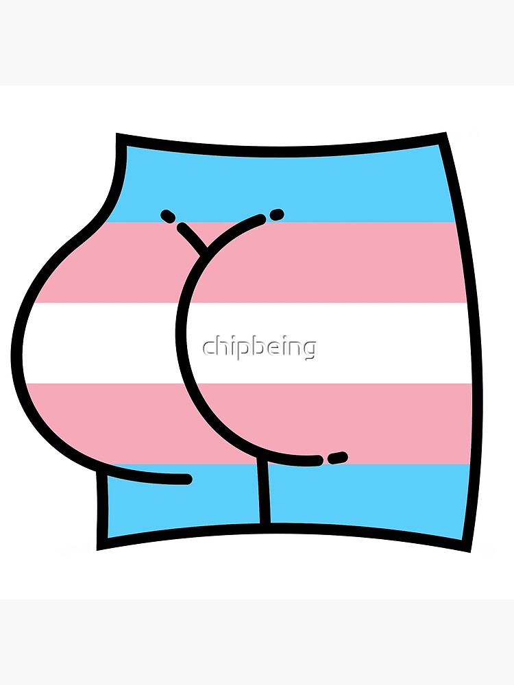 Transgender (Trans) Pride Flag – Culture Flock