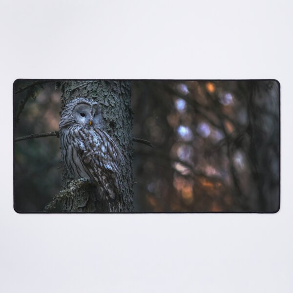 Item preview, Owl in the wild, in the forest designed and sold by Darius Bocos.