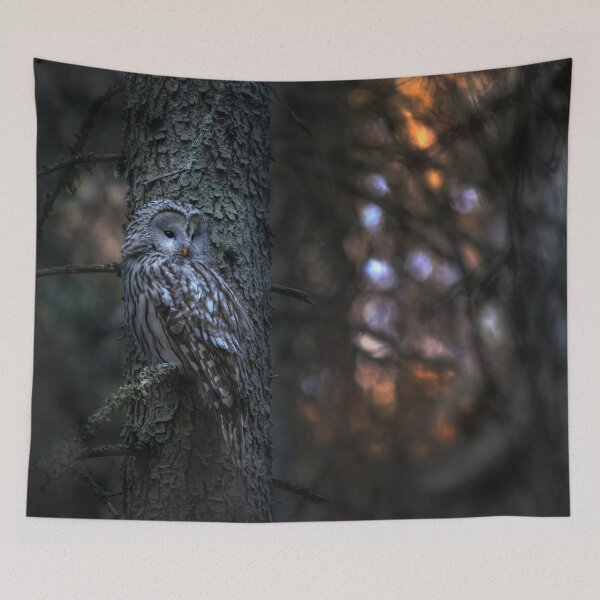 Item preview, Owl in the wild, in the forest designed and sold by Darius Bocos.