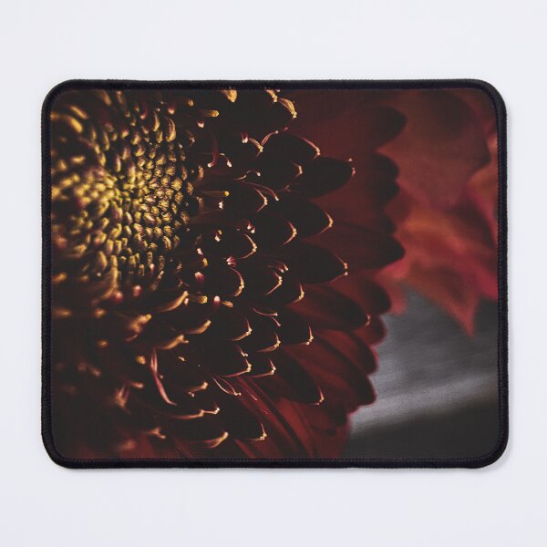 Item preview, Gerberas designed and sold by CiaoBellaJenny.