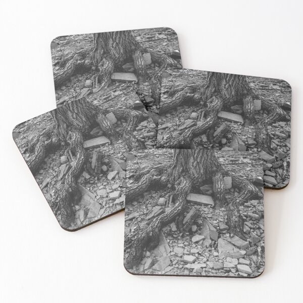 Item preview, Tree Trunk Exposed BW designed and sold by Bo Insogna.