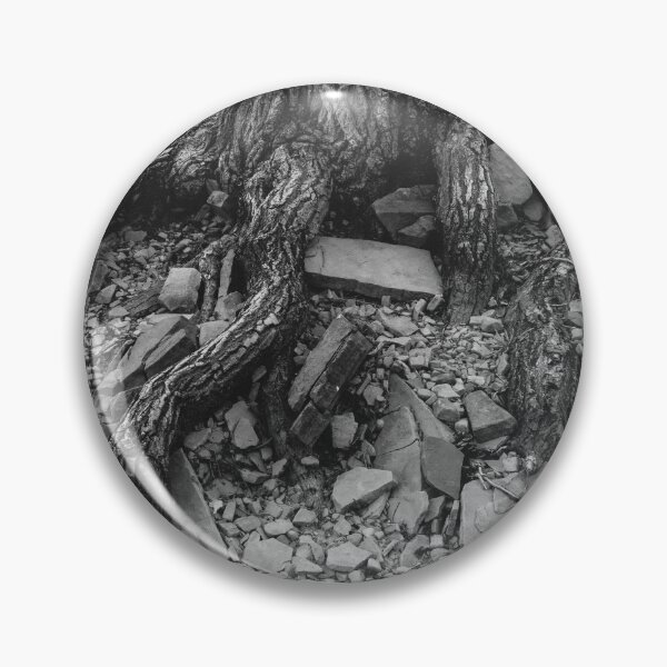 Item preview, Tree Trunk Exposed BW designed and sold by Bo Insogna.