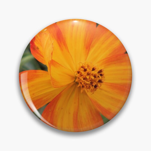 Artikelvorschau, Cosmos sulfureus-Blume entworfen und verkauft von Floral-Art.