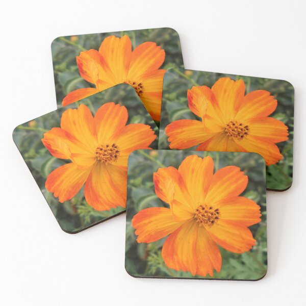 Item preview, Cosmos sulphureus Flower designed and sold by Floral-Art.