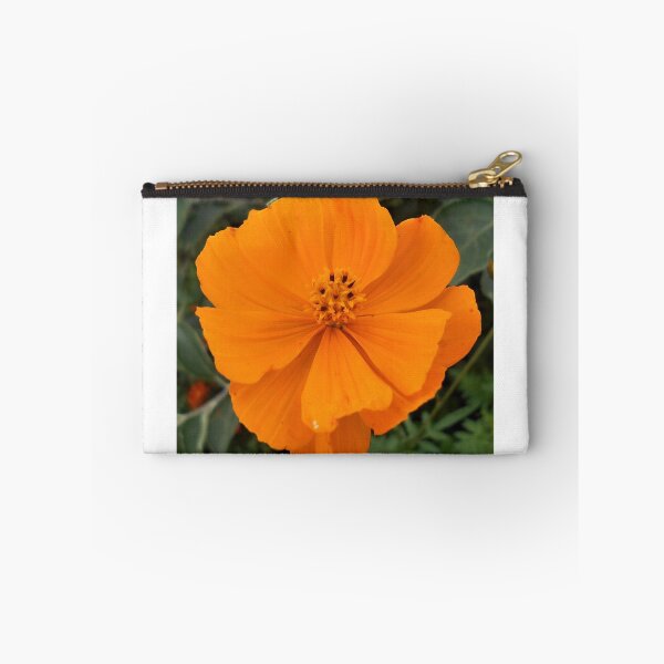 Artikelvorschau, Klarer orangefarbener Kosmos entworfen und verkauft von Floral-Art.
