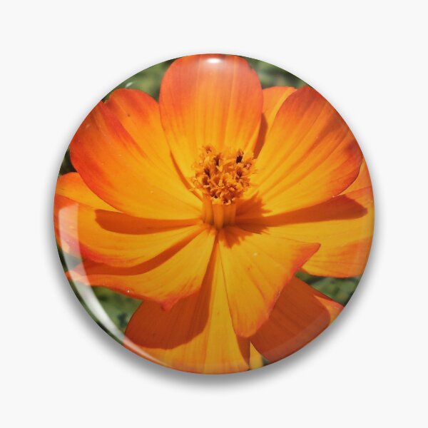 Artikelvorschau, Orange und roter Kosmos entworfen und verkauft von Floral-Art.