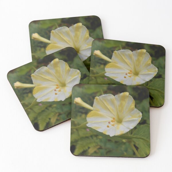 Item preview, Marvel of Peru Flower designed and sold by Floral-Art.