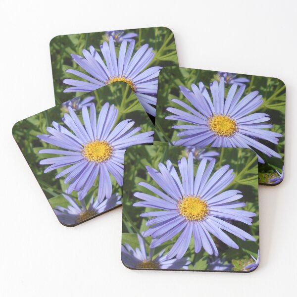 Aperçu de l'œuvre Érigeron bleu créée et vendue par Floral-Art.