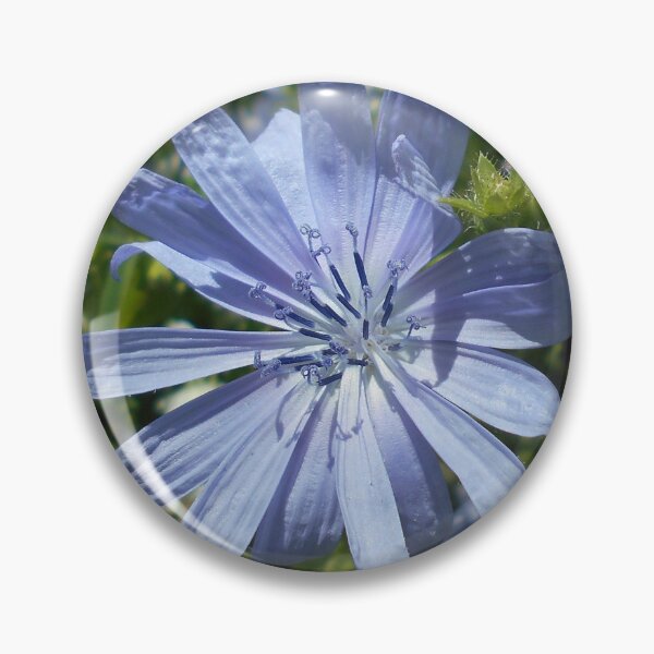 Item preview, Blue Chicory Flower designed and sold by Floral-Art.