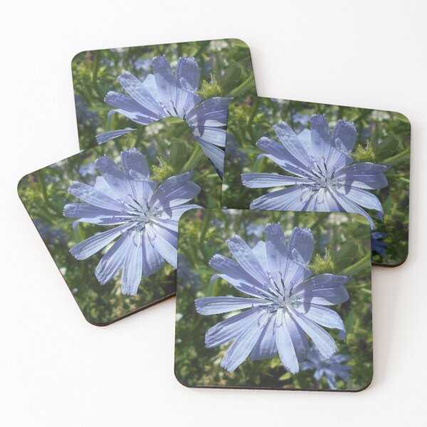 Item preview, Blue Chicory Flower designed and sold by Floral-Art.