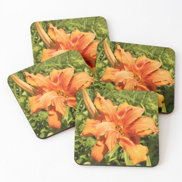 Item preview, Hemerocallis flore-pleno designed and sold by Floral-Art.