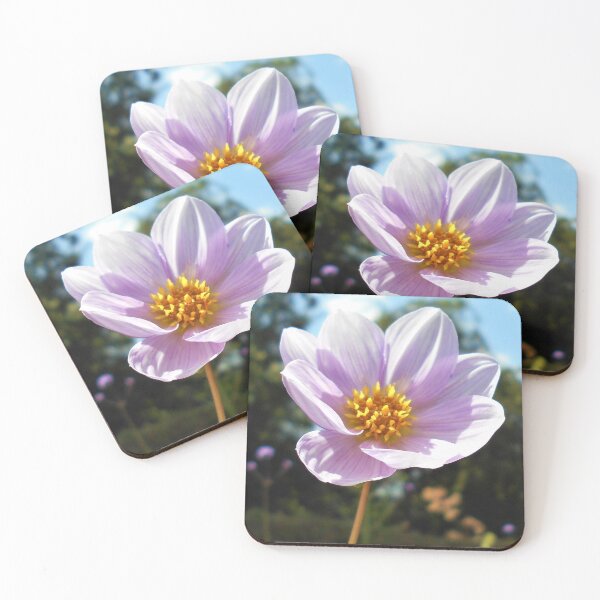 Item preview, Dahlia merckii designed and sold by Floral-Art.