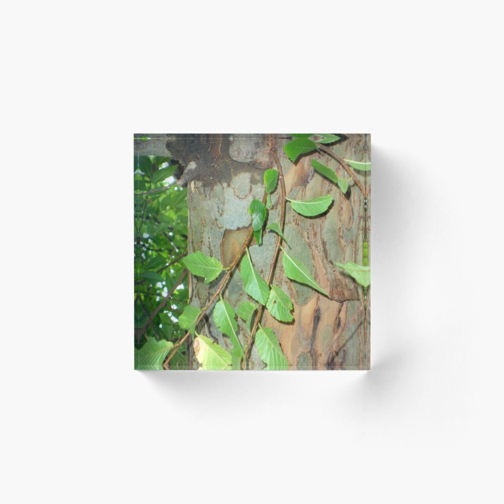 Item preview, Acrylic Block designed and sold by JLB2209.