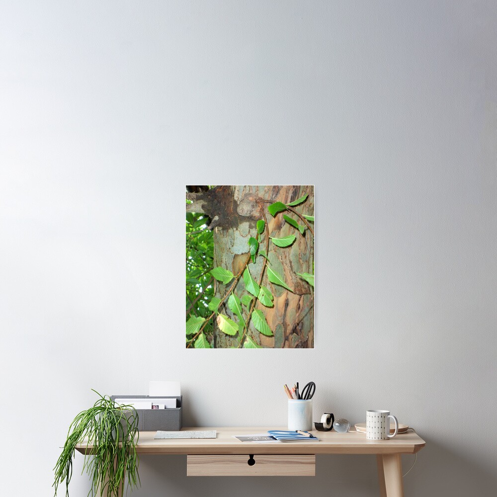 Item preview, Poster designed and sold by JLB2209.