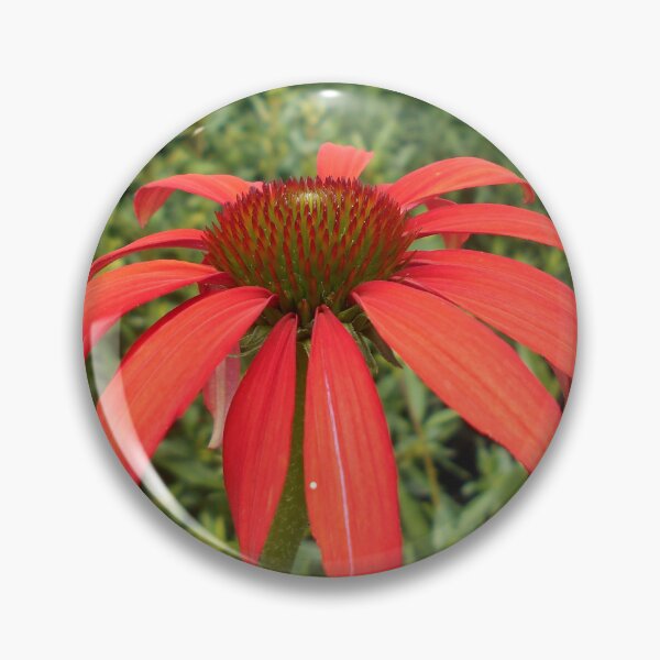 Item preview, Red echinacea designed and sold by Floral-Art.