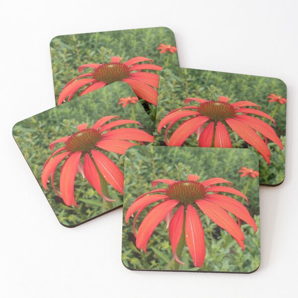Item preview, Red echinacea designed and sold by Floral-Art.
