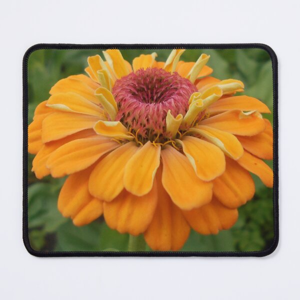 Item preview, Orange Zinnia Flower designed and sold by Floral-Art.