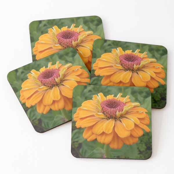 Item preview, Orange Zinnia Flower designed and sold by Floral-Art.