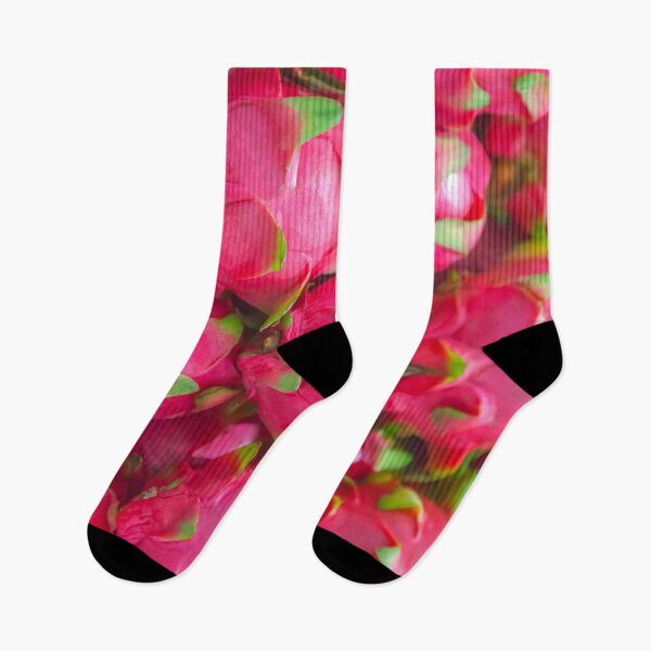 Item preview, Dragon Fruit designed and sold by Montage-Madness.