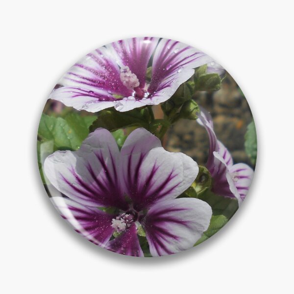 Item preview, Malva sylvestris var zebrina designed and sold by Floral-Art.