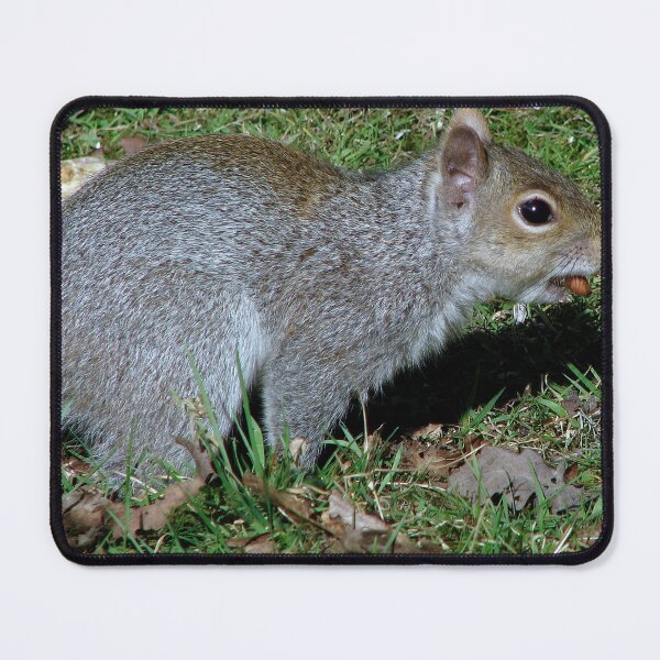 Item preview, I bet you cant balance a peanut on your teeth!!!! designed and sold by Sharon Perrett.