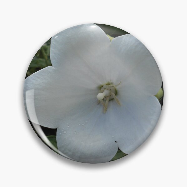 Item preview, White Platycodon Flower  designed and sold by Floral-Art.