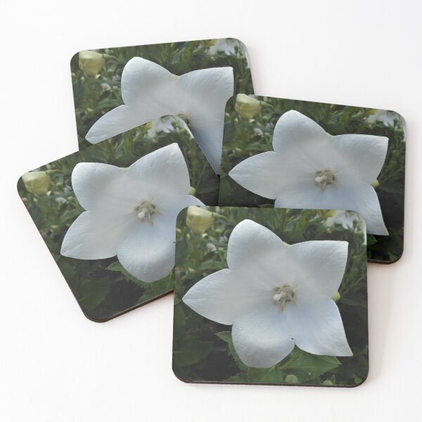Item preview, White Platycodon Flower  designed and sold by Floral-Art.