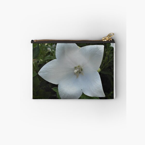 Item preview, White Platycodon Flower  designed and sold by Floral-Art.