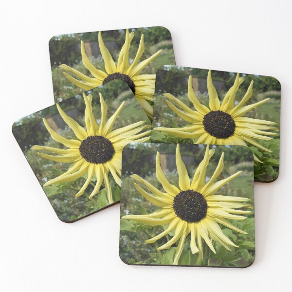 Item preview, Pale yellow sunflower designed and sold by Floral-Art.