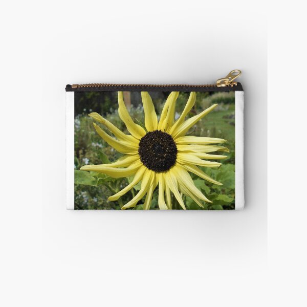 Item preview, Pale yellow sunflower designed and sold by Floral-Art.