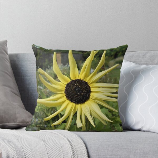 Item preview, Pale yellow sunflower designed and sold by Floral-Art.
