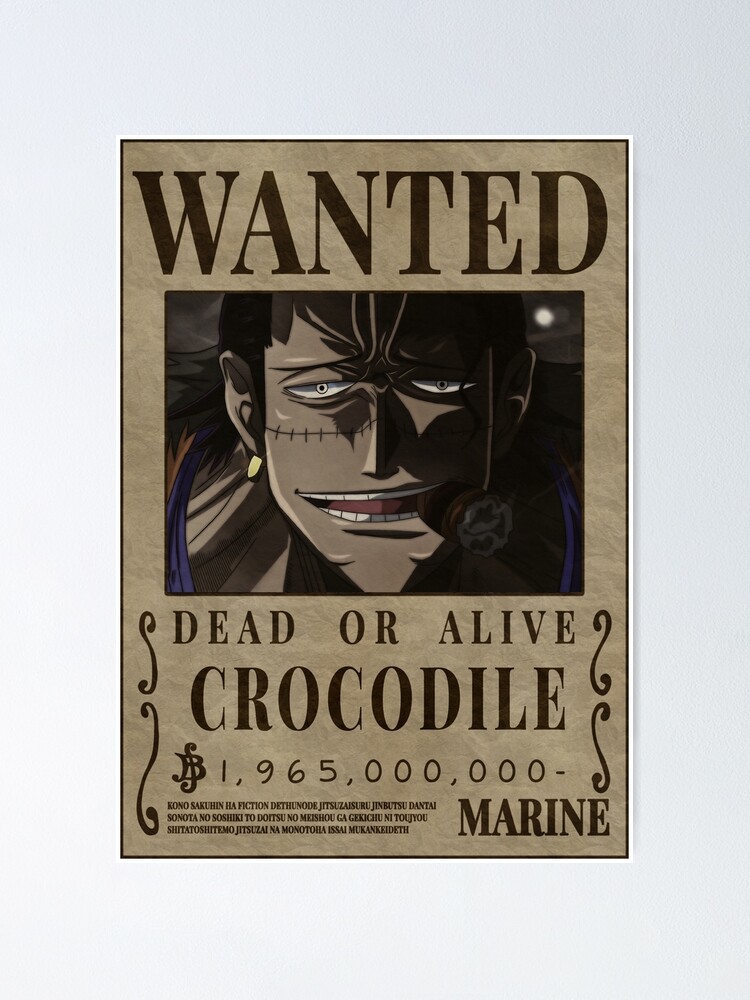 Who is Crocodile in One Piece?