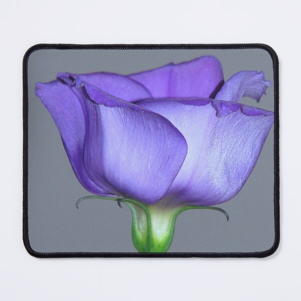 Item preview, Purple Lisianthus 01 designed and sold by Sharon Perrett.