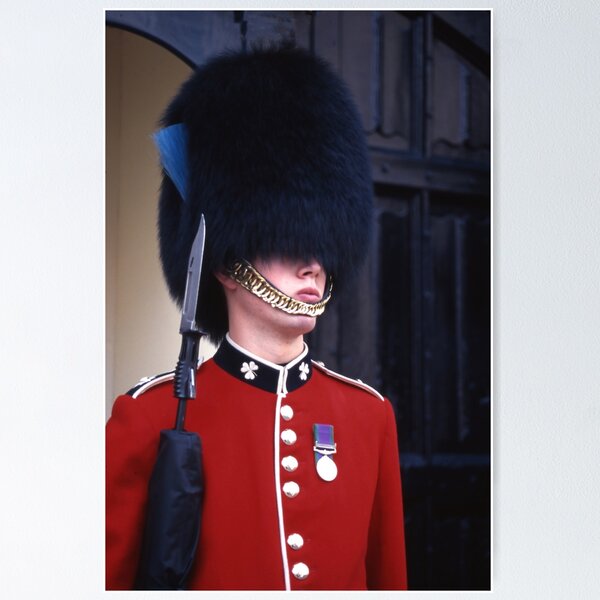 Item preview, Palace Guard designed and sold by mistyrose.