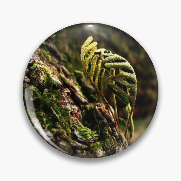 Item preview, Saplings on Moss by GatorDesign designed and sold by GatorDesign.
