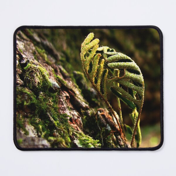 Item preview, Saplings on Moss by GatorDesign designed and sold by GatorDesign.