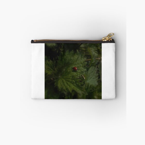 Item preview, Ladybird on Nettles designed and sold by Karen Chard.