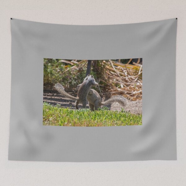 Item preview, Squirrel Play designed and sold by CarolM.
