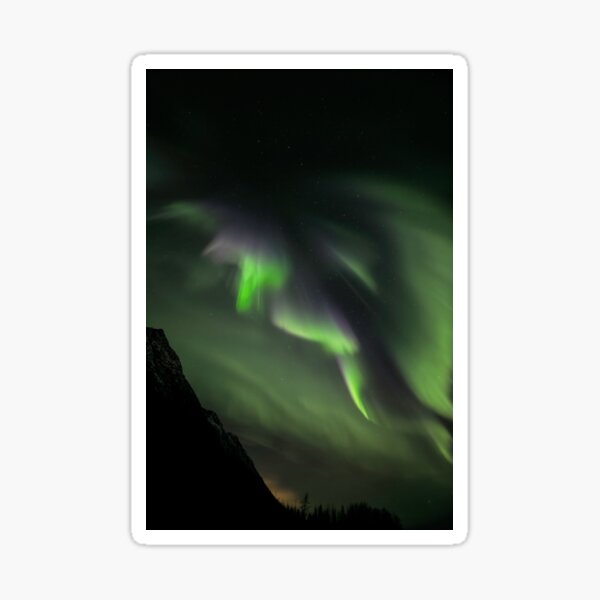 Auroral Wave Sticker