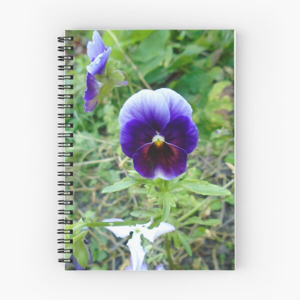 Item preview, Purple Pansy designed and sold by Karen Chard.