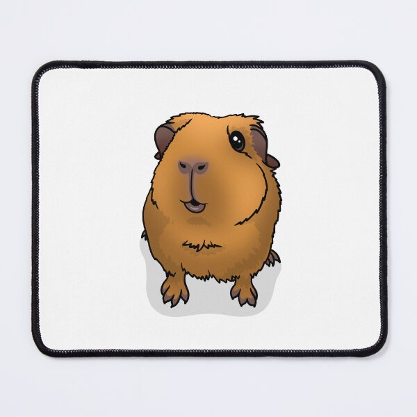 Item preview, Saffron Gold Guinea Pig designed and sold by KatsGuineapigs.